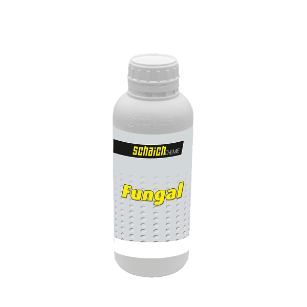 Fungal